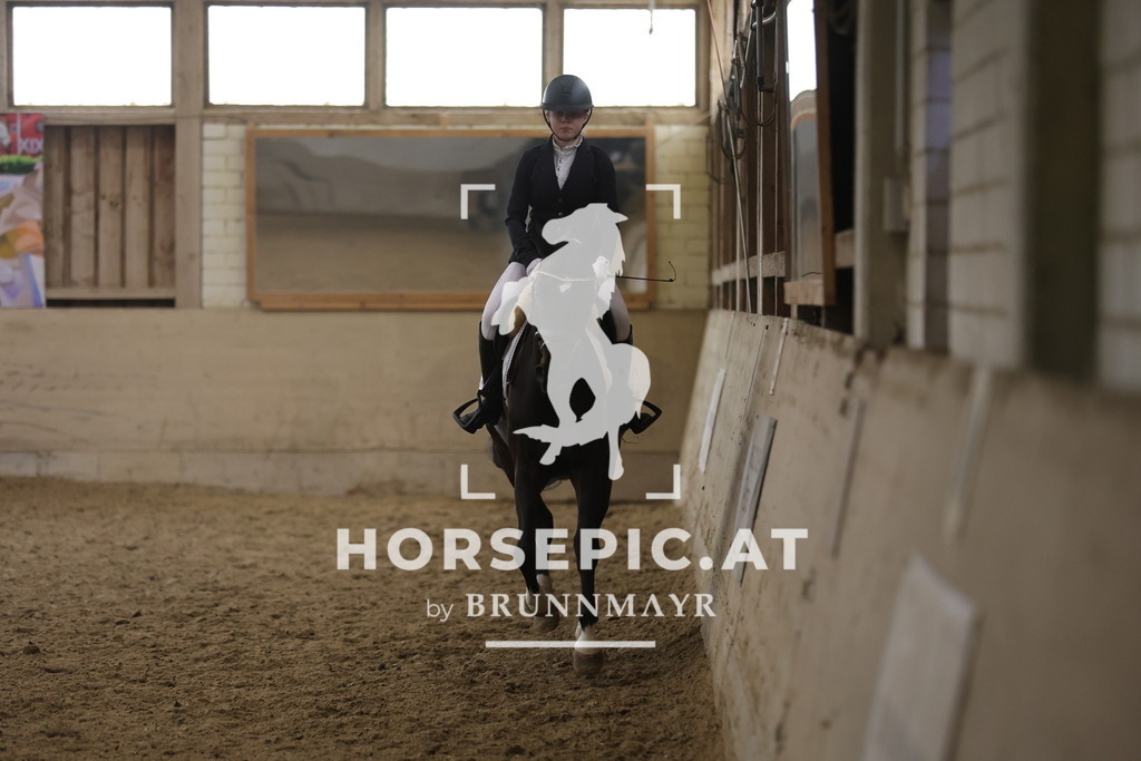 0P6A5870 | Willkommen bei Brunnmayr - Design & Fotografie – Ihrem Spezialisten für Reitturniere und Pferdeveranstaltungen in Oberösterreich, Salzburg und Bayern! Seit über 17 Jahren sind wir leidenschaftlich dabei.