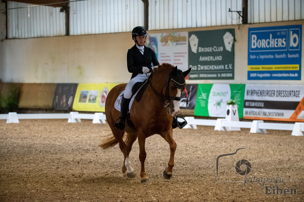 Helle Nymphenburger Dressurtage | Sophie-Celine-Viktoria Richter auf dem Pferd Palinkas Red (Startnummer 319); Helle Nymphenburger Dressurtage am 01.10.2023; in Bad Zwischen (RC Helle), Photo: Philip Eiben 2023 - Realisiert mit Pictrs.com