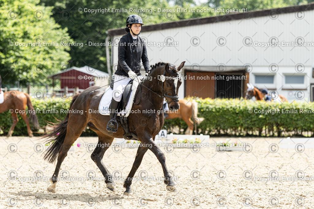 CL5A7880 | Emilia Reinking Fotografie - Realisiert mit Pictrs.com