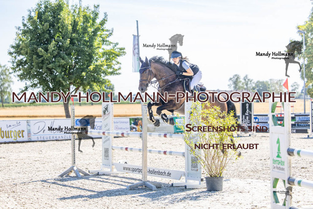 26-7-24 Amateur L-196 | mandyhollmannphotographie