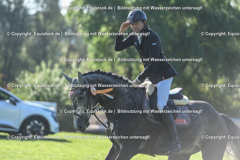 20230908_14-15_Springpferde-A_0146 | equistock