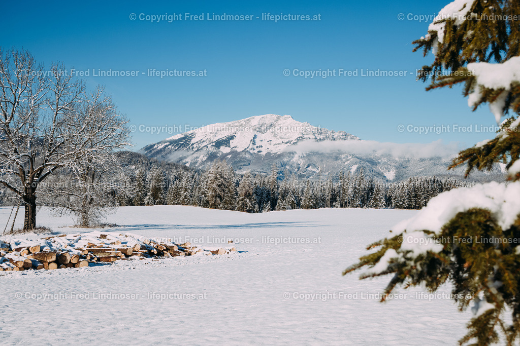 Winterlandschaft Mariazellerland 11122020-0151 | Fotos und Fotoprodukte - Realisiert mit Pictrs.com