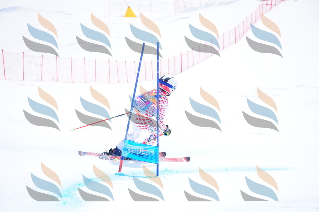 DSC_6370 | holidayphoto