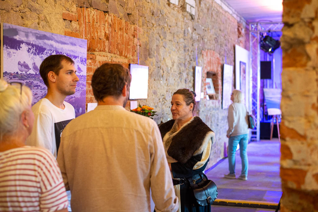 Green Art Talent | Künstlerwettbewerb Green Art Talent im Forte Belvedere Leisnig zum Festival Hallo Leisnig 2022. - Realisiert mit Pictrs.com