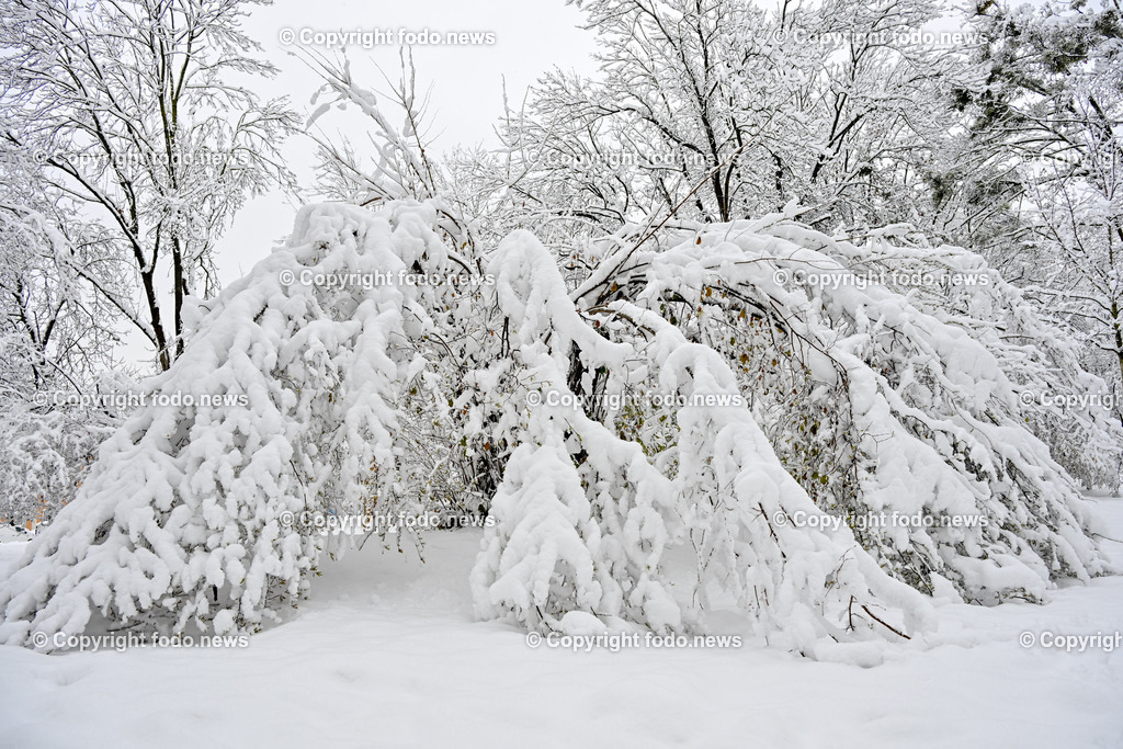 Linz_ Schnee_ 02.12.2023-28 | 02.12.2023, Linz, AUT, Schnee, im Bild Schneefall, Winter, Wintereinbruch, Weiss, Park, Schneefahrbahn, Neuschnee, spazieren im Schnee, Baeume, Straeucher, Schneelast