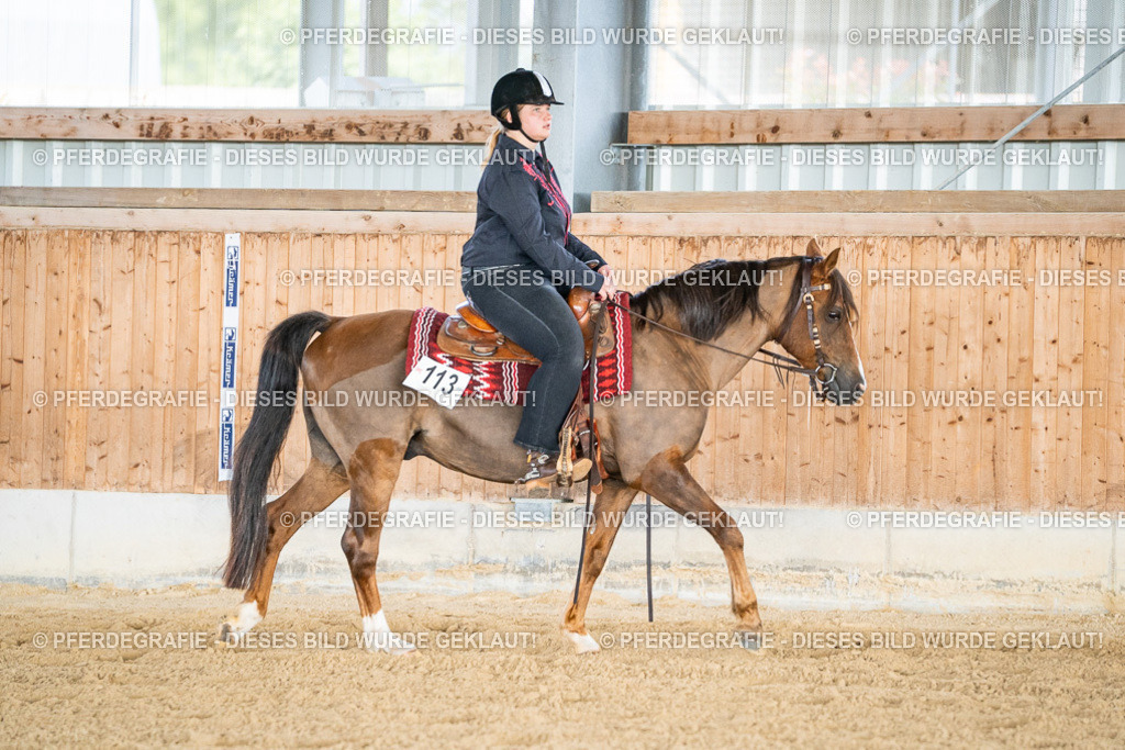 DSC08473 | Pferdegrafie