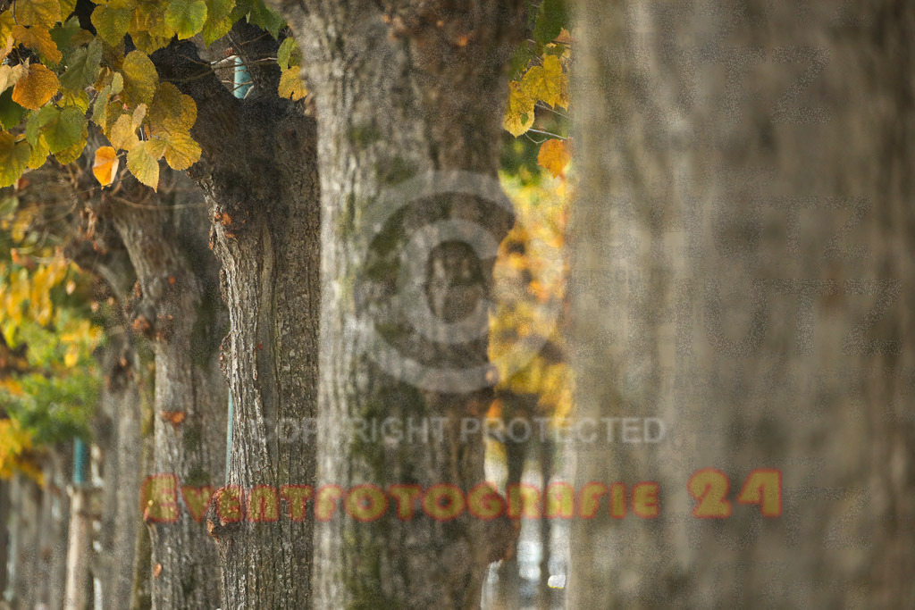 221016_0915_EX2_3579 | Sport- und Eventfotografie