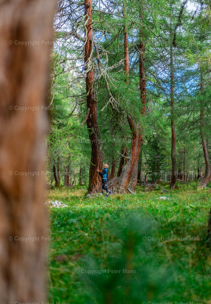 Dorfertal_Erlebnisraum_Wald_23_Peter_Maier-892 | piet_flosse