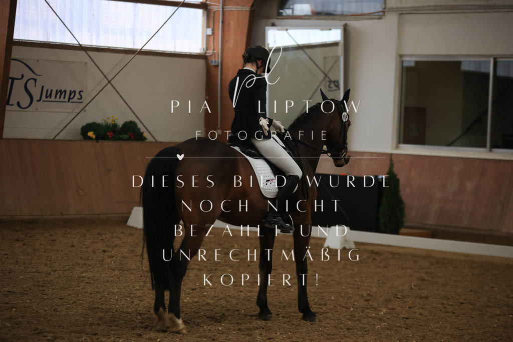 IMGT9567 | pl-fotografie