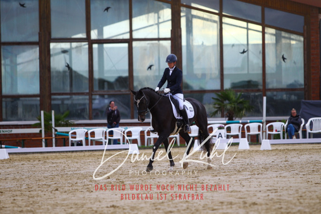 DKP43702 | Turniersportfotografie; Pferdefotografie; Dressurfotografie