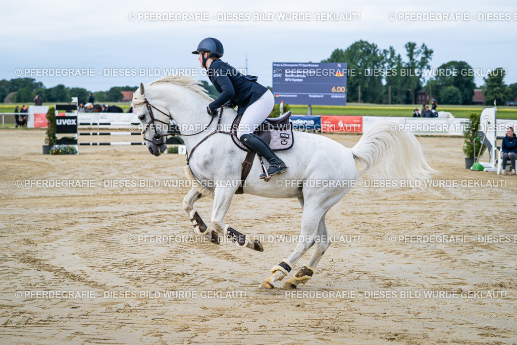 DSC03317 | Pferdegrafie