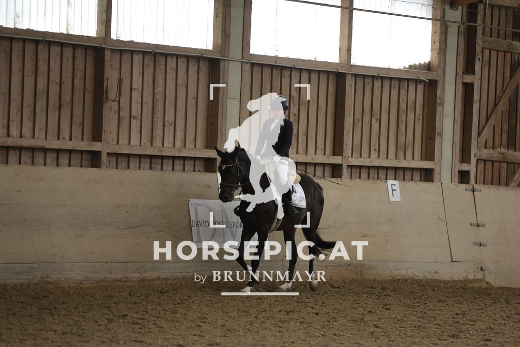 0P6A5877 | Willkommen bei Brunnmayr - Design & Fotografie – Ihrem Spezialisten für Reitturniere und Pferdeveranstaltungen in Oberösterreich, Salzburg und Bayern! Seit über 17 Jahren sind wir leidenschaftlich dabei.
