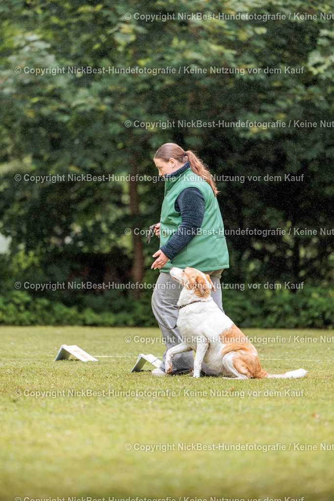 RO-Blumenthal-2026-Nickbest-Hundefotografie-4054 | Dein Hund! Dein Moment! Deine Erinnerungen! Hundefotografie in Bremen Blumenthal. Ich fange die besonderen Momente deines Vierbeiners ein – ob Indoor mit Blitzanlage oder in der freien Natur. Sicher dir dein Moment und dein Termin für eure Erinnerungen.