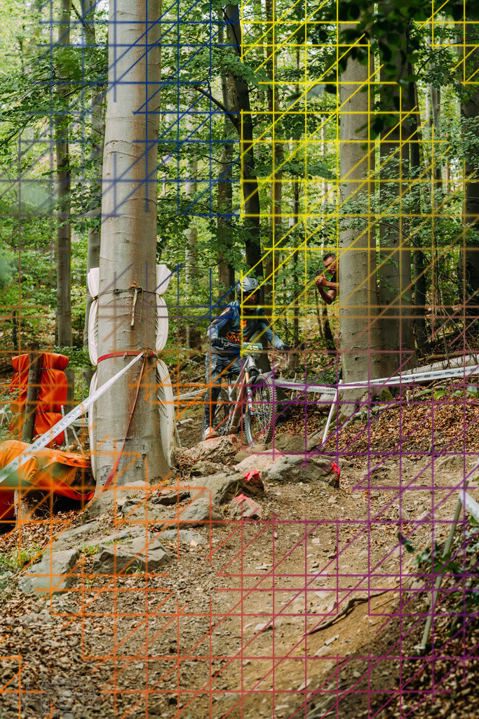 PAE-2233 | Einzigartige Fotokunst für dein Zuhause: Entdecke hochwertige Wandbilder, edle Prints und emotionale Motive von Wildlife, Natur und Landschaften - Realisiert mit Pictrs.com