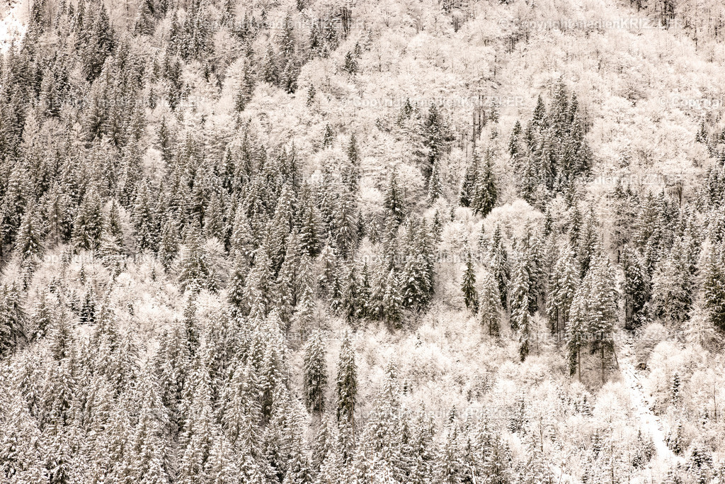 _J3A9932 | medienkrizzler - Realisiert mit Pictrs.com