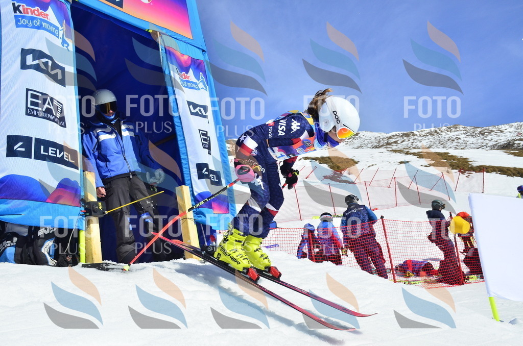 _ELE0720 | holidayphoto