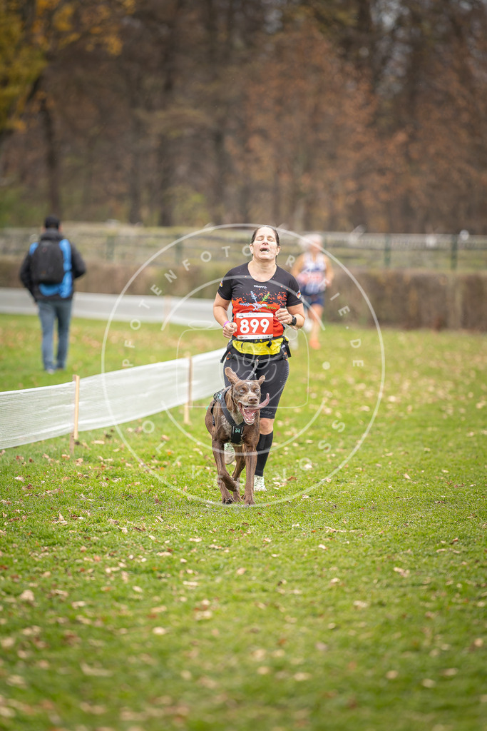CaniXpix_DV3A6904 | Hundefotografie, Tierfotograf, Pfotenfotografie, Fotoshooting Hund, Hunde Portrait, Hundesport, Hundeportraits, Heideshooting, Hunde, Sportfotograf, Hundefotograf, Turnierhundsport, THS,  - Realisiert mit Pictrs.com
