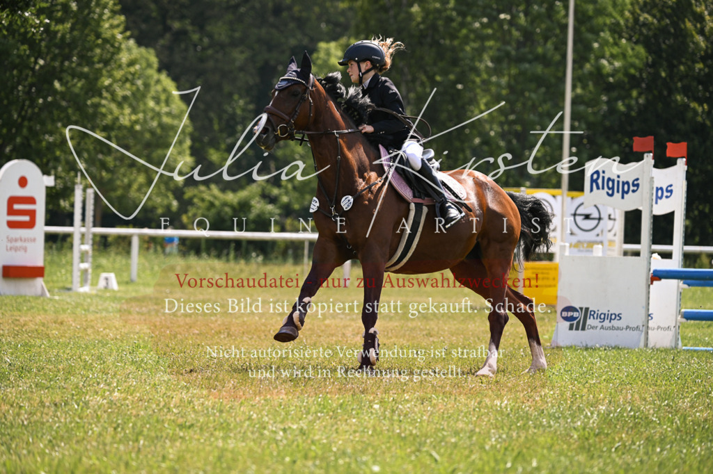 DSC_9003 | Pferde- und Turnierfotografie in Westsachsen. Pferdeportraits, Auftragszeichnungen und intuitive Kunst.