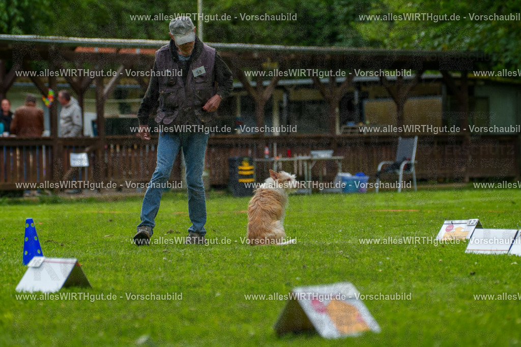 @allesWIRTHgut_Tierfotografie - www.allesWIRTHgut.de - 7R501370 | Professionelle Tierfotografie in Mönchengladbach von Daniel Wirth (allesWIRTHgut). Liebevolle & natürliche Bilder von Hunden & Katzen für unvergessliche Erinnerungen.