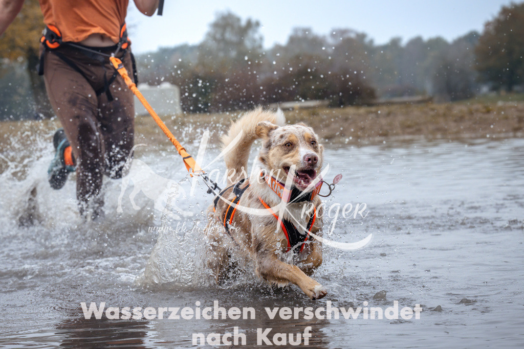 1007_ZZ98155 | kk-dogfotos