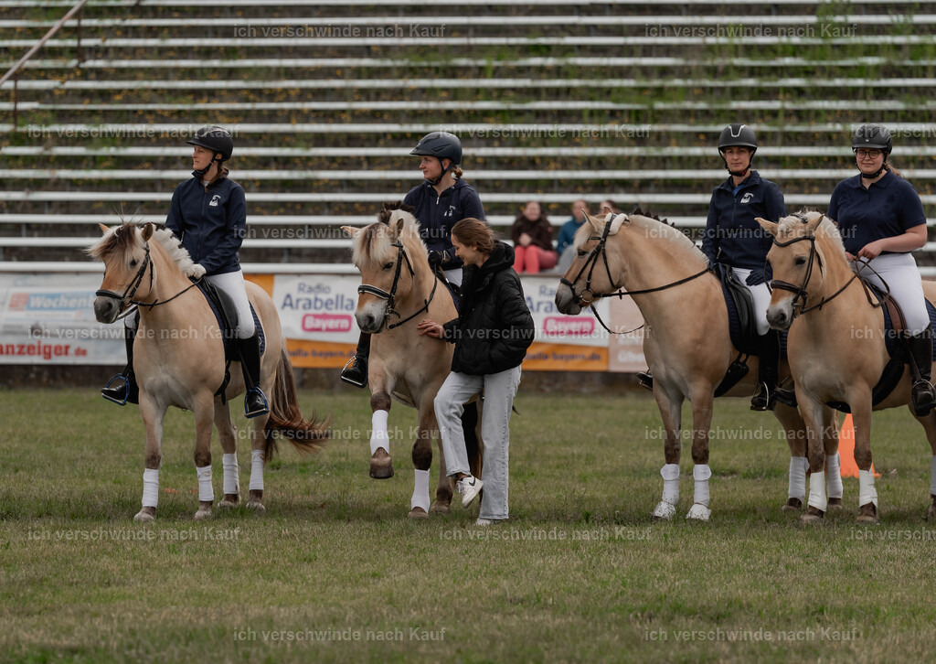 Showprogramm-3 | working equitationturnier fotograf videograf stoibphotography marixx film working equitation deutschland reitsport turnierfotografie eventfotografie equestrian events