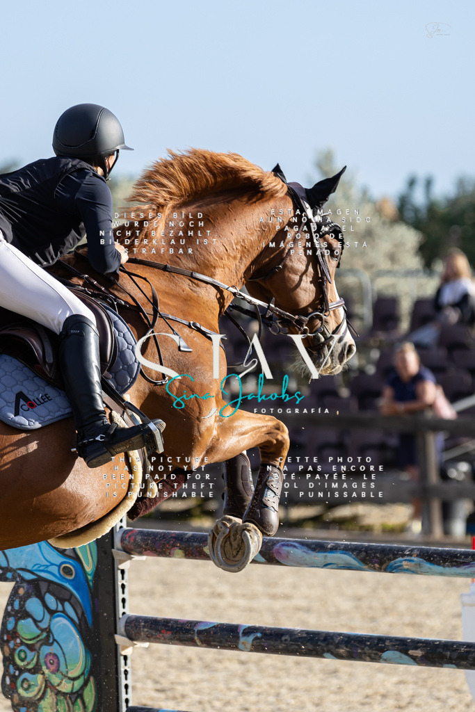 IMG_0561 | s-jay-photography - Realisiert mit Pictrs.com