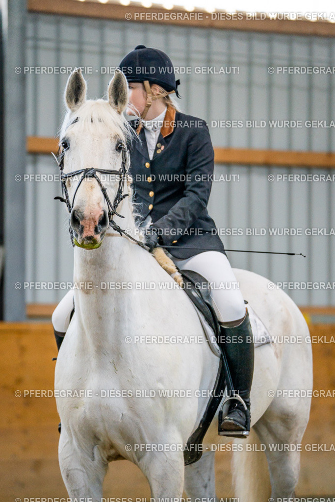 DSC00766 | Pferdegrafie