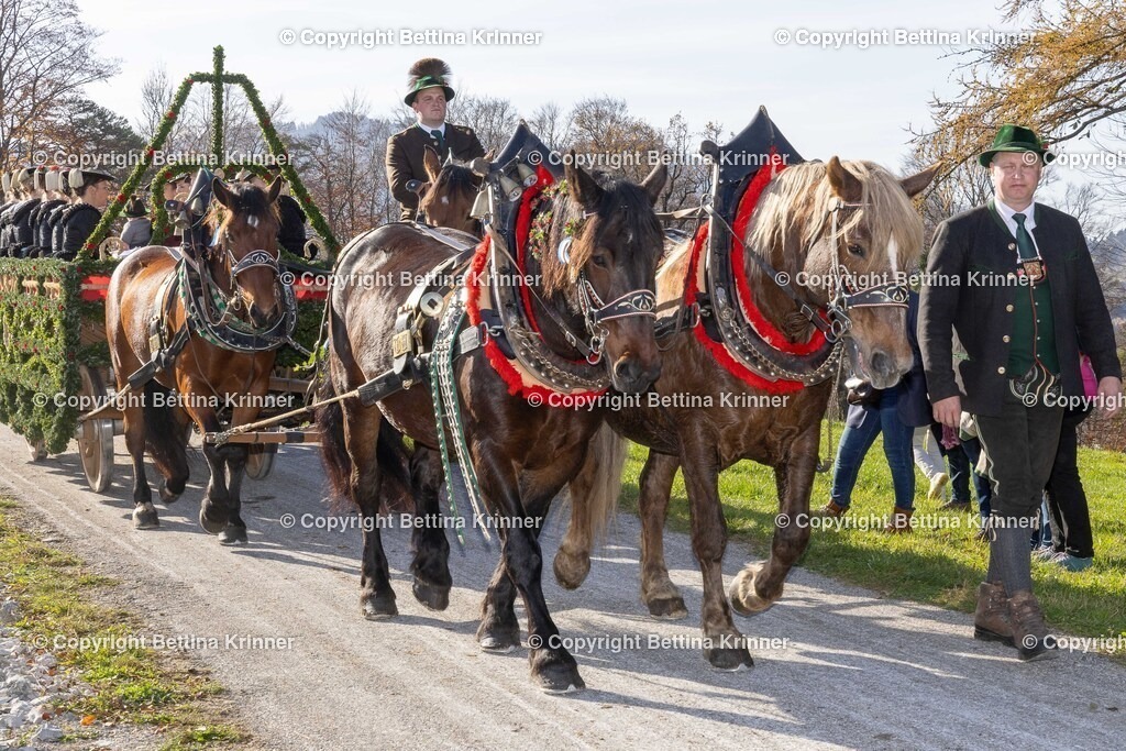 LBT24-1498 | foto-bettina-krinner - Realisiert mit Pictrs.com