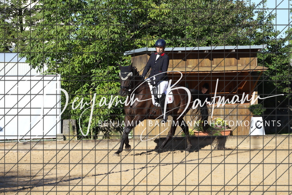 IMG_4878 | Benjamin Bartmann Photomoments