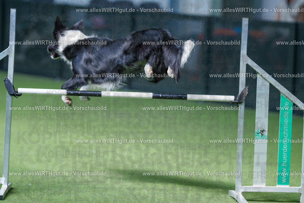 @allesWIRTHgut_Tierfotografie - www.allesWIRTHgut.de - 2604251344-7R503911 | Professionelle Tierfotografie in Mönchengladbach von Daniel Wirth (allesWIRTHgut). Liebevolle & natürliche Bilder von Hunden & Katzen für unvergessliche Erinnerungen.