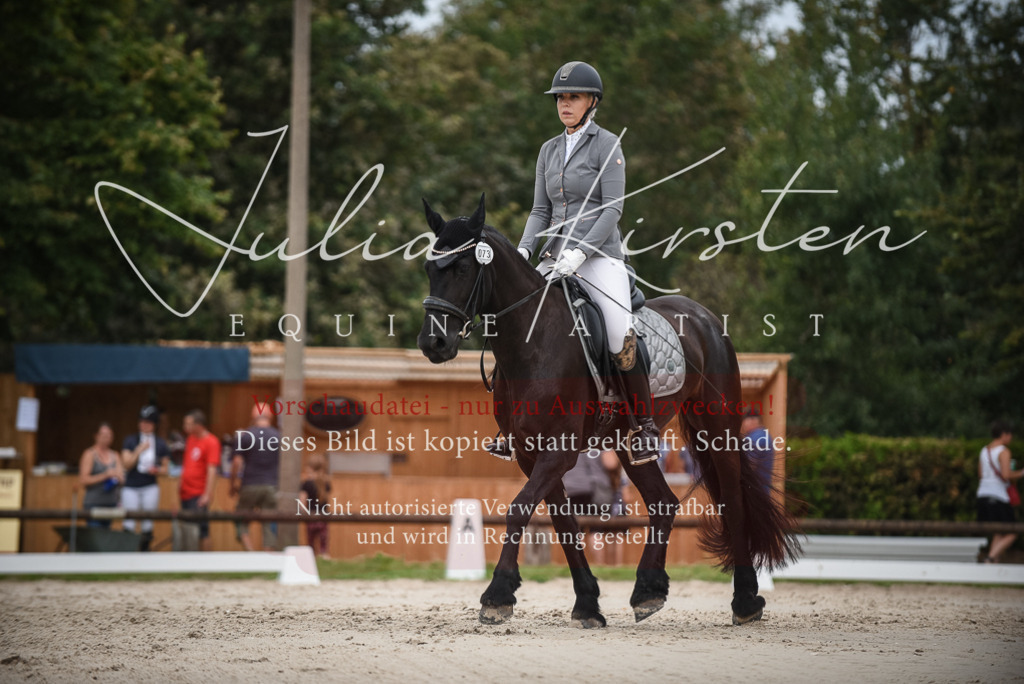 DSC_8306 | Pferde- und Turnierfotografie in Westsachsen. Pferdeportraits, Auftragszeichnungen und intuitive Kunst.