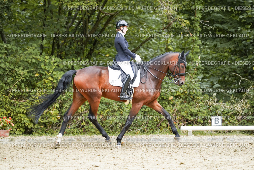 DSC07212 | Pferdegrafie