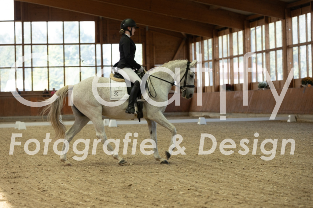 IMG_1033 | Creatify Fotografie