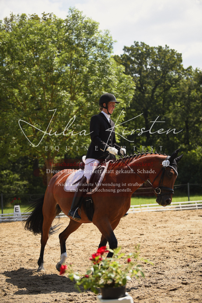 DSC_1036 | Pferde- und Turnierfotografie in Westsachsen. Pferdeportraits, Auftragszeichnungen und intuitive Kunst.