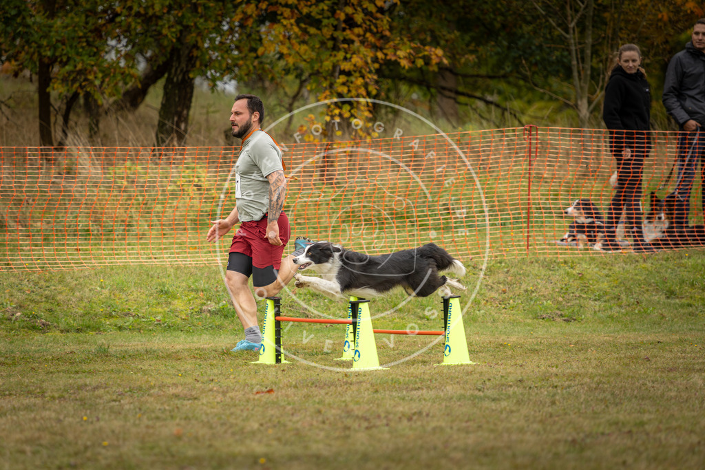 Pfotenfotografie_DV3A5763 | Hundefotografie, Tierfotograf, Pfotenfotografie, Fotoshooting Hund, Hunde Portrait, Hundesport, Hundeportraits, Heideshooting, Hunde, Sportfotograf, Hundefotograf, Turnierhundsport, THS,  - Realisiert mit Pictrs.com