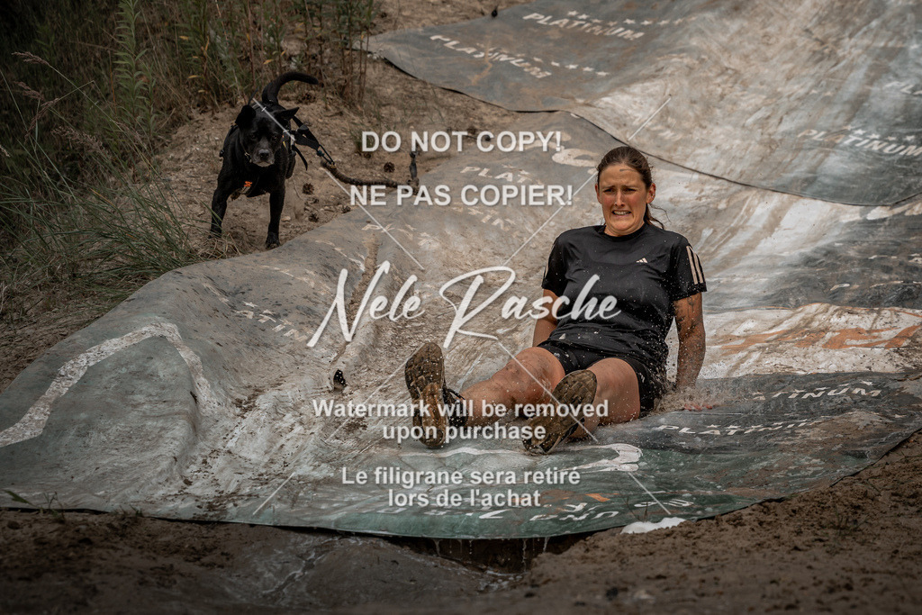 nelerasche_sa1345-1430_356 | nelerasche