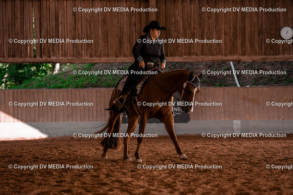 NE200096 | dv-media-shop - Realisiert mit Pictrs.com