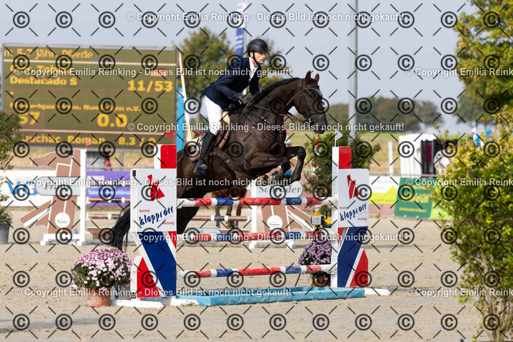 CL5A5168 | Emilia Reinking Fotografie - Realisiert mit Pictrs.com