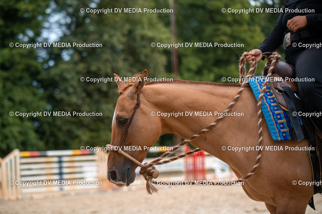 ZS2_8073 | dv-media-shop - Realisiert mit Pictrs.com