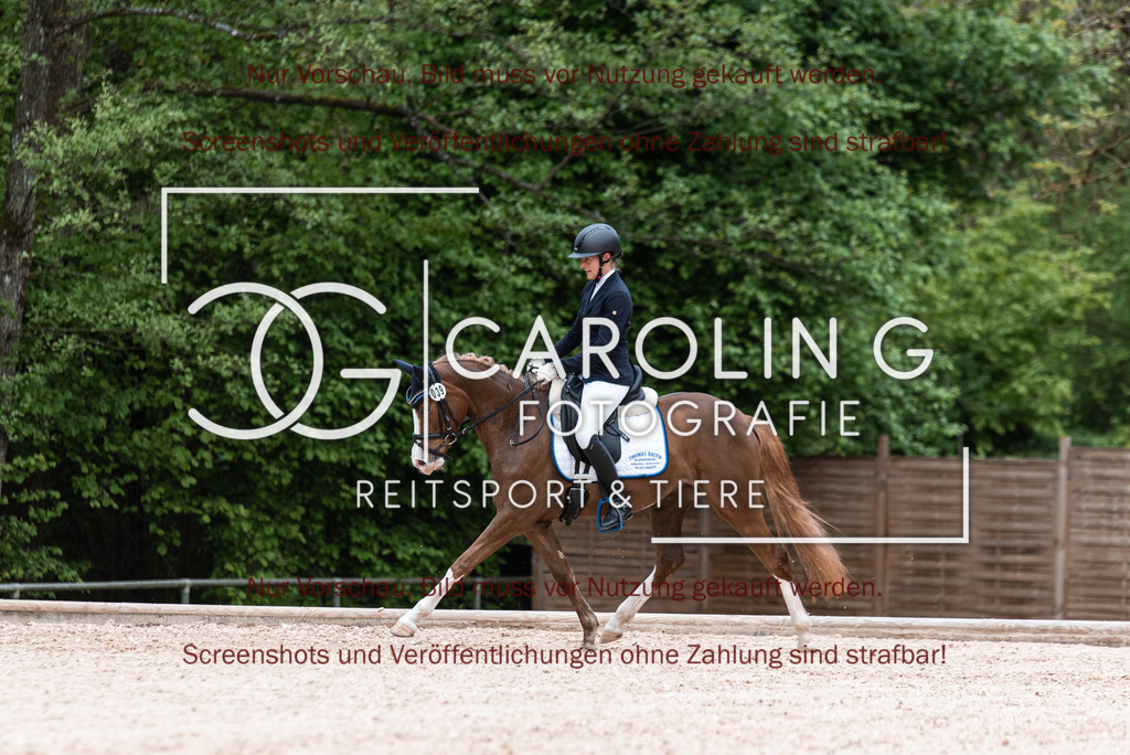 DSC_6723 | Turnierfotografin Carolin Gieschke,Reitsport Turnierfotografie Carolin G Fotografie | Turnierfotos aus Kirchheim/Teck, Esslingen, Stuttgart und dem Bodenseekreis