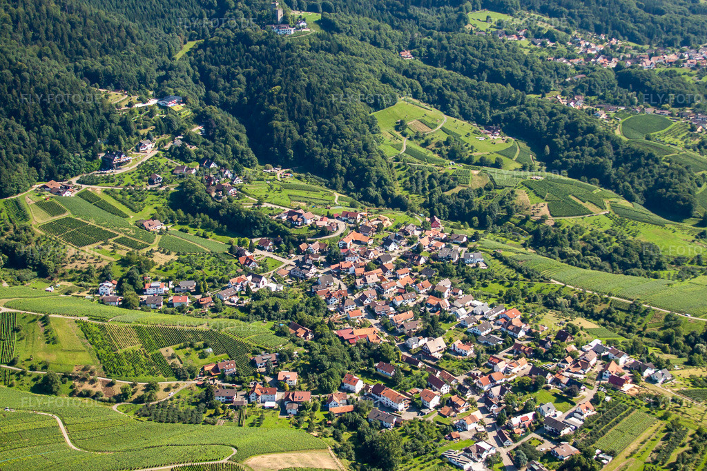 Luftbild: Kappelwindeckstr im Ortsteil Riegel in Bühl im Bundesland Baden-Württemberg in Deutschland. Foto: IMG_31401.jpg vom 09.08.2010 durch Werner Riehm/FLY-FOTO.de