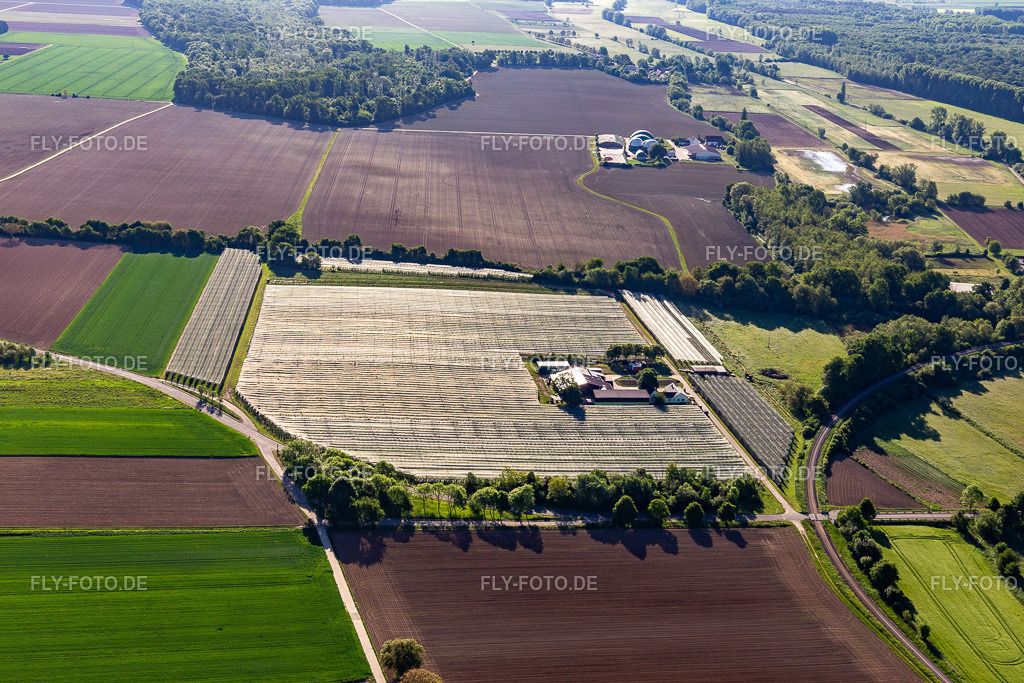 Spargel und Obsthof Gensheimer | Luftbild: Spargel und Obsthof Gensheimer in Steinweiler im Bundesland Rheinland-Pfalz in Deutschland. Foto: IMG_131483.jpg vom 14.05.2022 durch ©2025 Werner Riehm fly-foto.de/copyright - Realisiert mit Pictrs.com