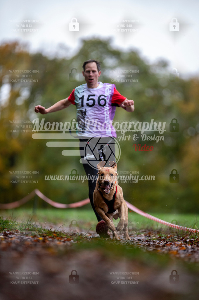 DBT_DAKM_SA_4_11_2023_Canicross-49 | PayLife
