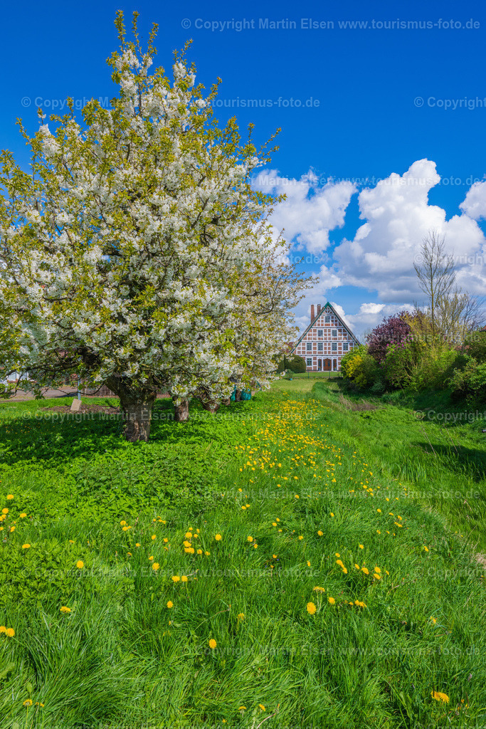 Jork Obst Blüte Fachwerk_ELS_2812170424 | Fotos aus den Touristenorten aus Norddeutschland. - Realisiert mit Pictrs.com