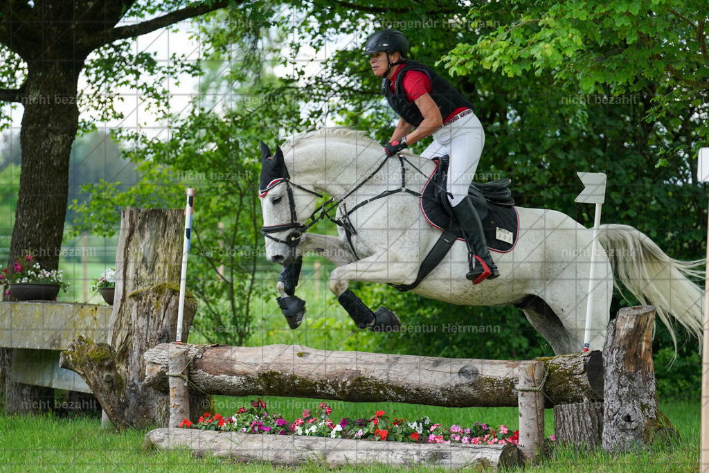 20240518-FAH03897 | Turnierbilder von Niederseon, Turnierfotografen Bayern, Fotoagentur Herrmann, Geländebilder, Reitsportfotografie