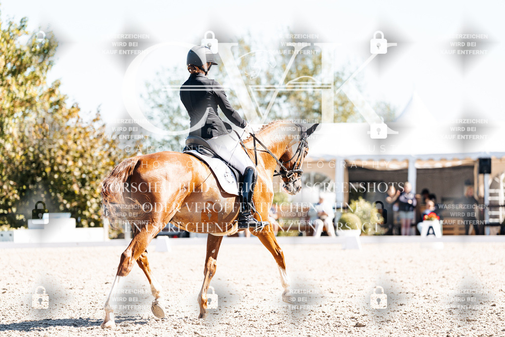 CK909161 | Turnierfotografie Pferdefotografie Trier Rheinland-Pfalz Pferdesport Reitsport Tierfotografie Sportfotografie Pferdevideo Pferdevideografie Equestrianvideography equestrianphotography  - Realisiert mit Pictrs.com