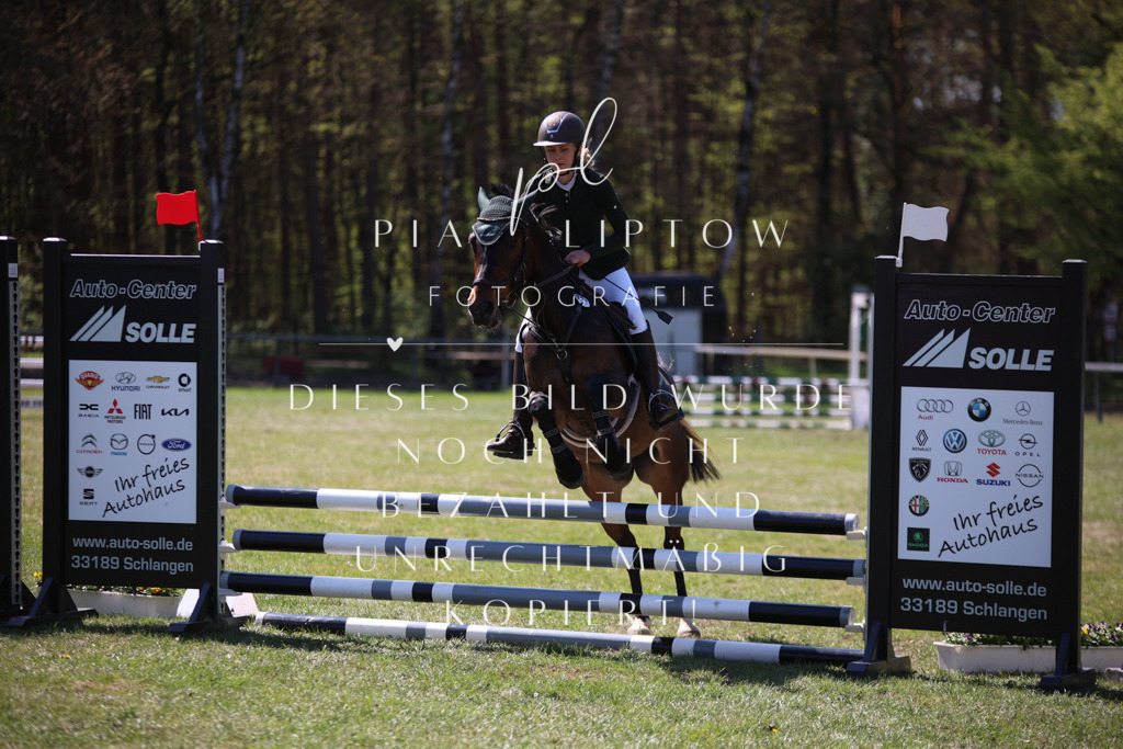 IMGT8117 | pl-fotografie