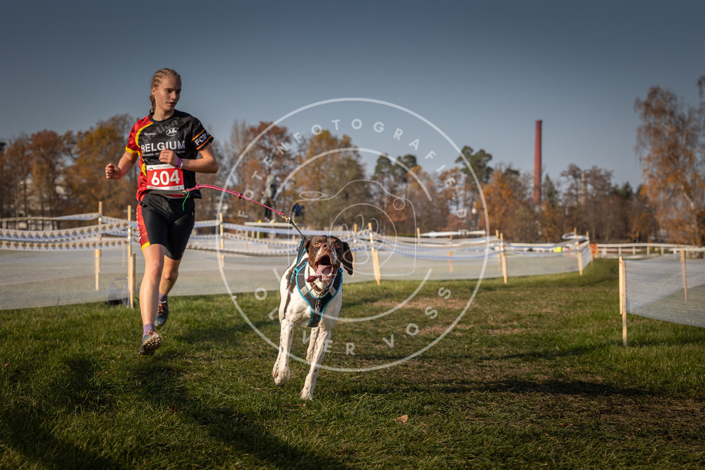 CaniXpix_0L8A0119 | Hundefotografie, Tierfotograf, Pfotenfotografie, Fotoshooting Hund, Hunde Portrait, Hundesport, Hundeportraits, Heideshooting, Hunde, Sportfotograf, Hundefotograf, Turnierhundsport, THS,  - Realisiert mit Pictrs.com