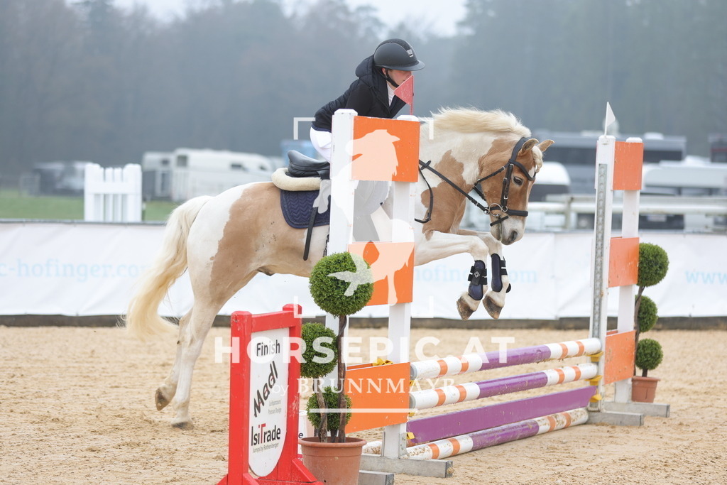0P6A8350 | Willkommen bei Brunnmayr - Design & Fotografie – Ihrem Spezialisten für Reitturniere und Pferdeveranstaltungen in Oberösterreich, Salzburg und Bayern! Seit über 17 Jahren sind wir leidenschaftlich dabei.