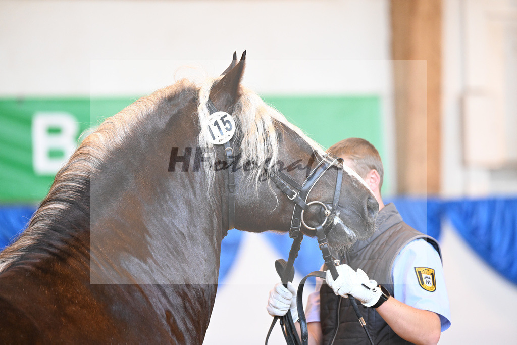 Kat-Nr. 115 Rodewald_HLG Marbach_53220819 | hf-fotografie - Realizzato con Pictrs.com